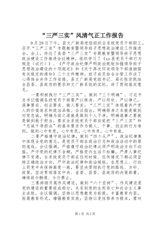 “三严三实”风清气正工作报告