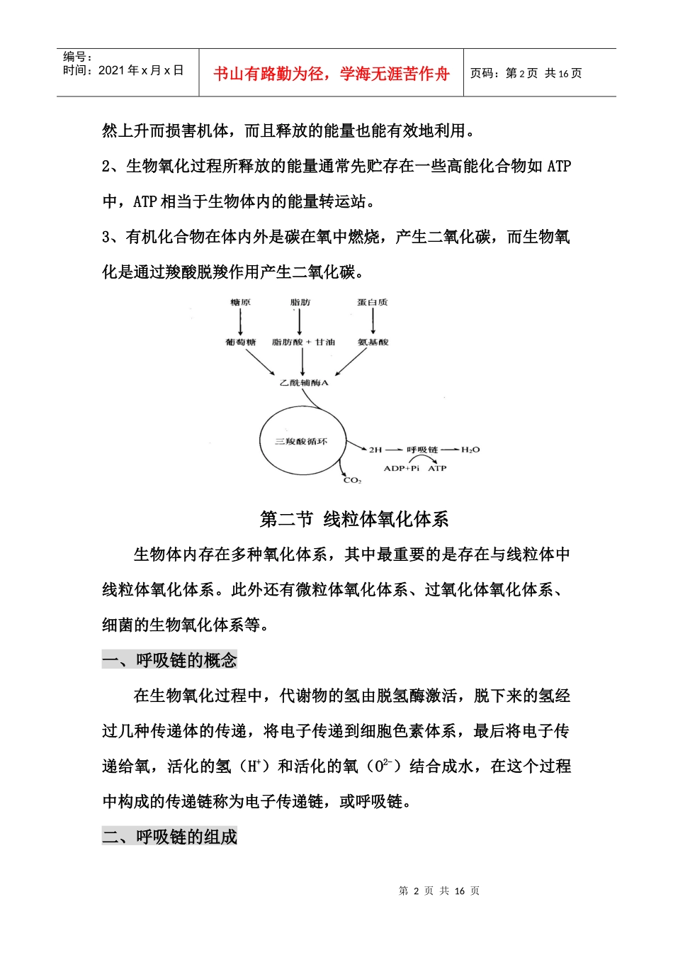 第七章生物氧化_第2页