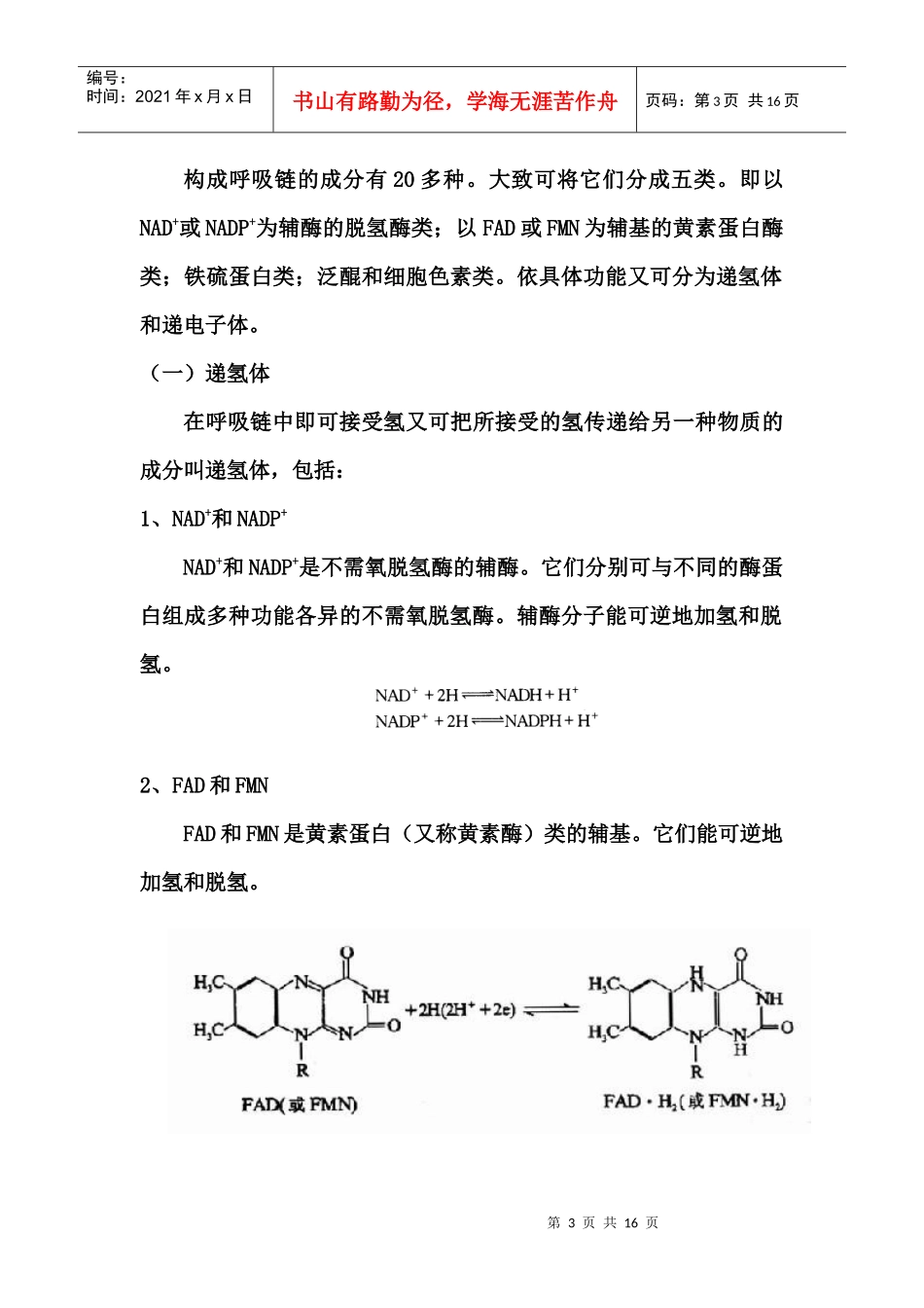 第七章生物氧化_第3页