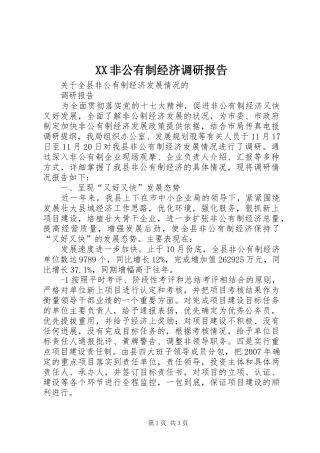 XX非公有制经济调研报告