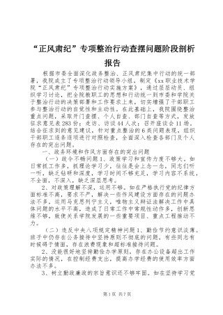 “正风肃纪”专项整治行动查摆问题阶段剖析报告