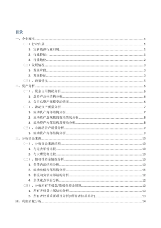 某公司财务分析报告(X 41页)