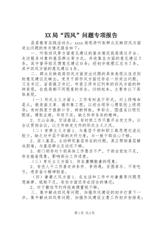 XX局“四风”问题专项报告