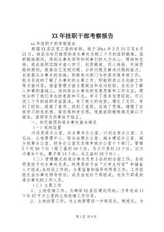 XX年挂职干部考察报告