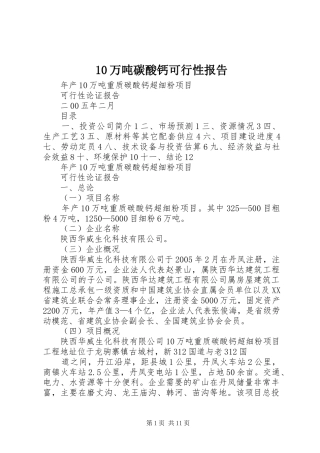 10万吨碳酸钙可行性报告