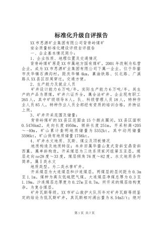 标准化升级自评报告