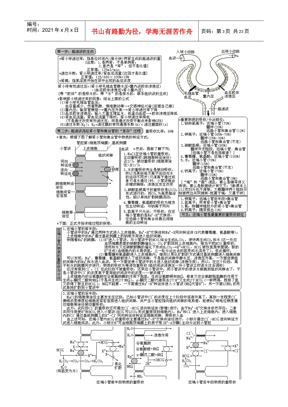西医综合·泌尿系统疾病(生理+病理+内科+外科)_第3页
