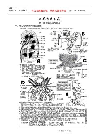 西医综合·泌尿系统疾病(生理+病理+内科+外科)