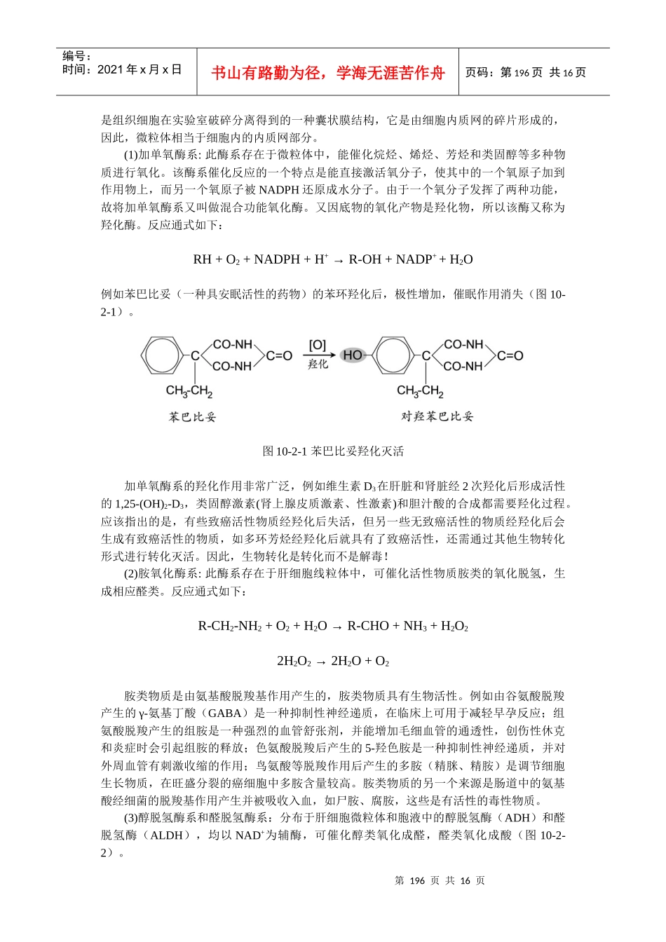 第十四章生物转化_第3页