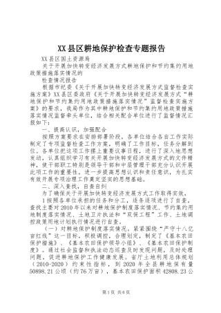 XX县区耕地保护检查专题报告