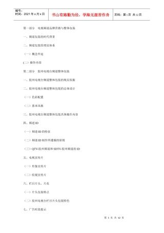 电视频道品牌营销与整体包装