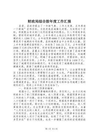 财政局综合股年度工作汇报