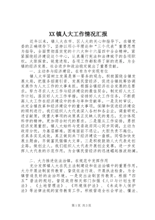 XX镇人大工作情况汇报