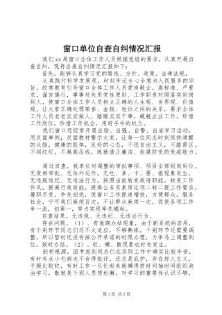 窗口单位自查自纠情况汇报