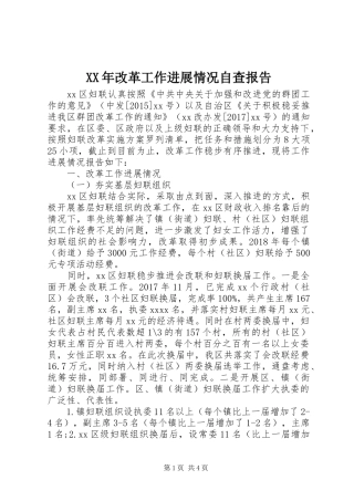 XX年改革工作进展情况自查报告