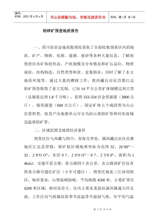 铅锌矿地质报告8