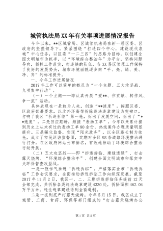 城管执法局XX年有关事项进展情况报告