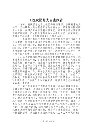 X医院团总支自查报告