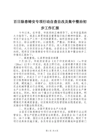 百日除患铸安专项行动自查自改及集中整治初步工作汇报