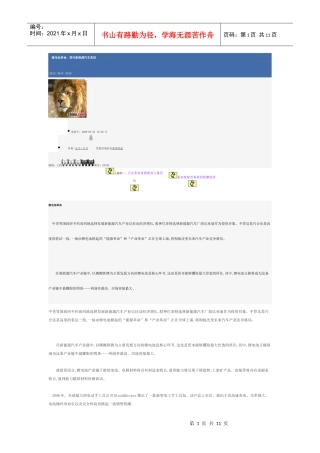 锂电池革命：国内新能源汽车真相