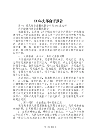 XX年支部自评报告