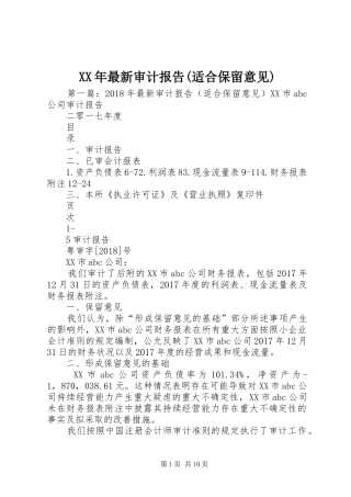 XX年最新审计报告(适合保留意见)