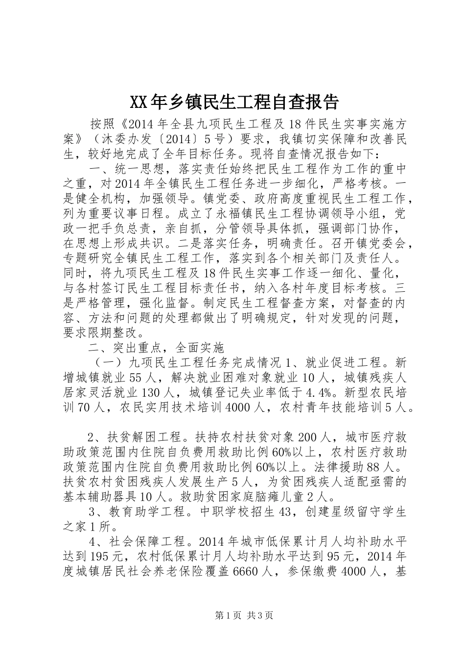 XX年乡镇民生工程自查报告_第1页
