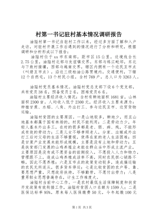 村第一书记驻村基本情况调研报告