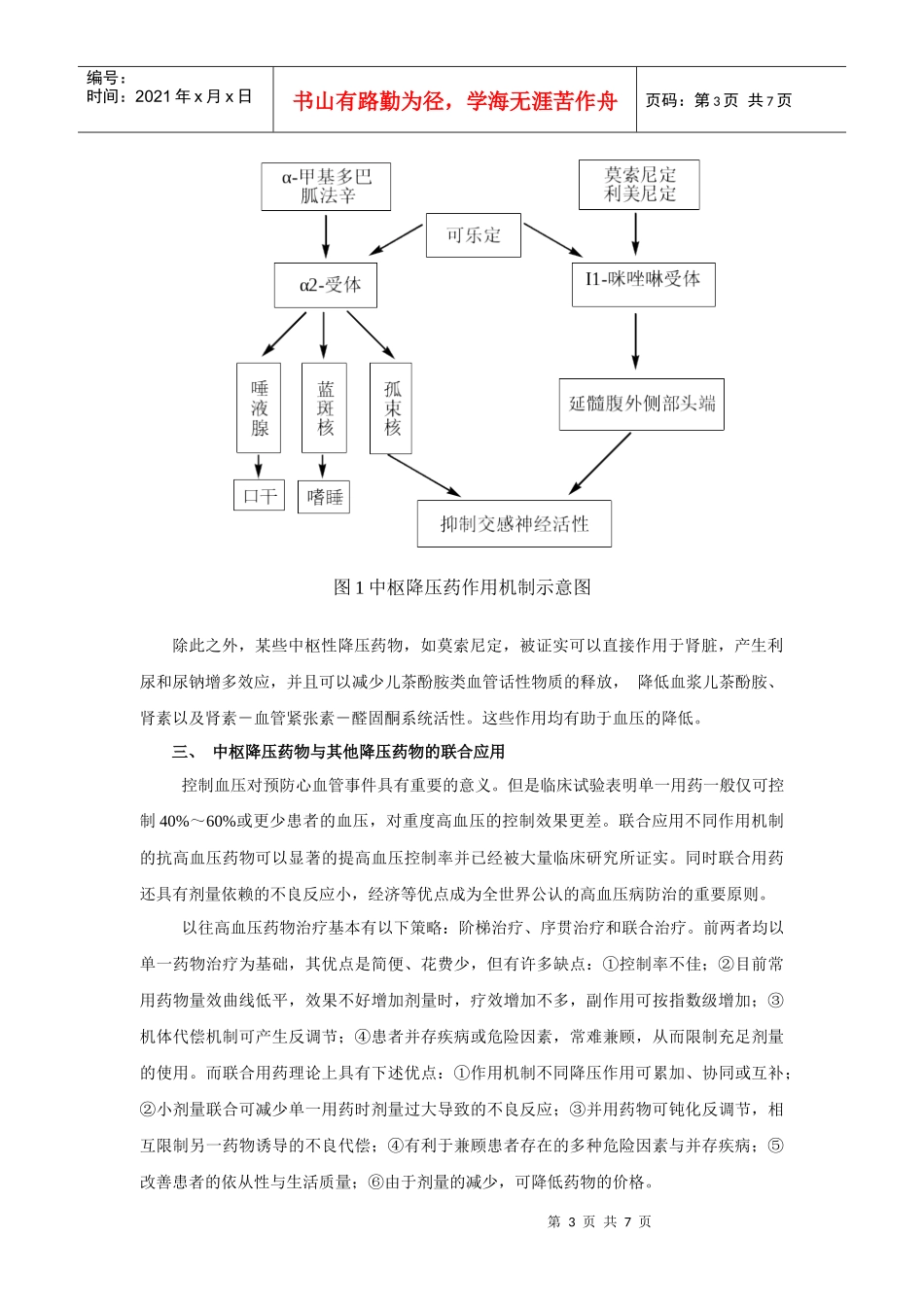 第二十五章抗高血压药_第3页