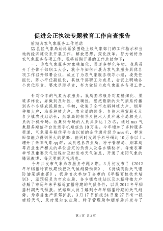 促进公正执法专题教育工作自查报告