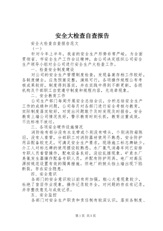 安全大检查自查报告 (15)