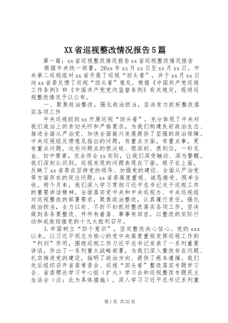 XX省巡视整改情况报告5篇