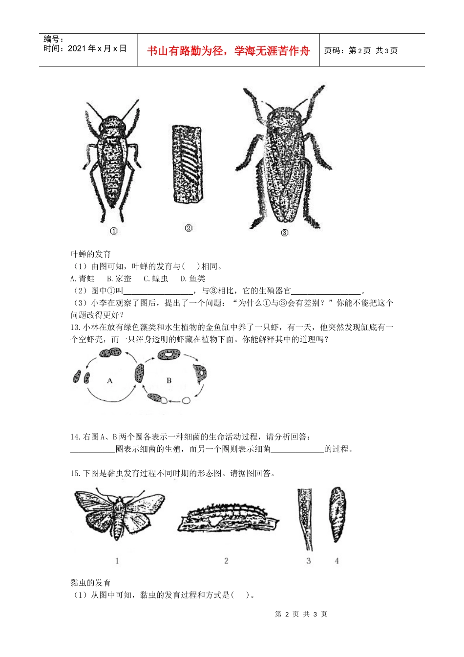 生物圈中生命的延续和发展_第2页