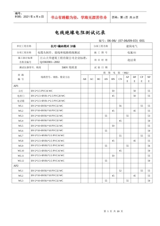 电线绝缘电阻测试记录
