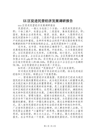XX区促进民营经济发展调研报告