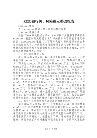 XXXX银行关于风险提示整改报告