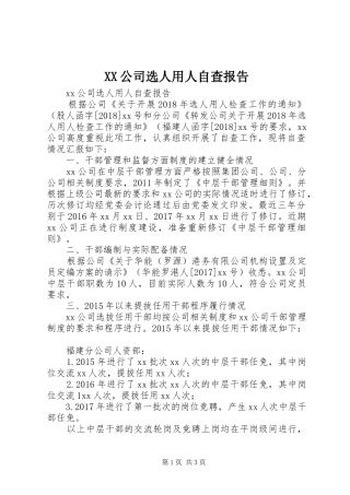 XX公司选人用人自查报告