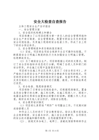 安全大检查自查报告 (12)