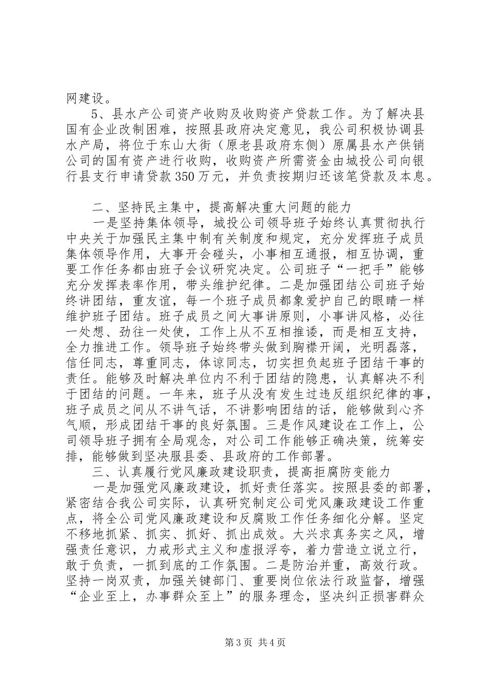 城投公司领导班子报告_第3页