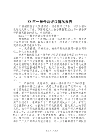XX年一报告两评议情况报告