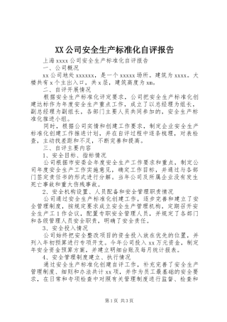 XX公司安全生产标准化自评报告