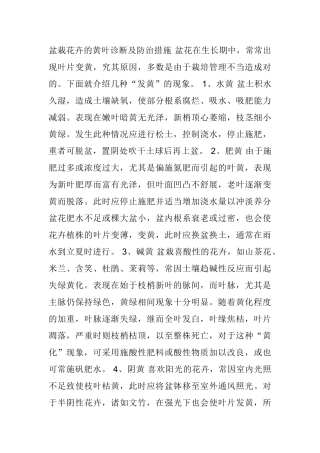 盆栽花卉的黄叶诊断及防治措施 盆花在生长期中