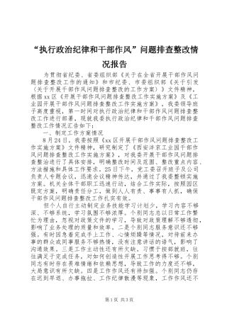“执行政治纪律和干部作风”问题排查整改情况报告