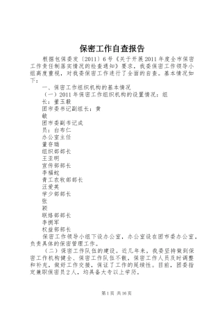 保密工作自查报告 (16)