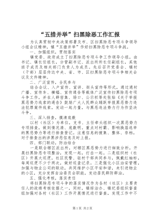 “五措并举”扫黑除恶工作汇报