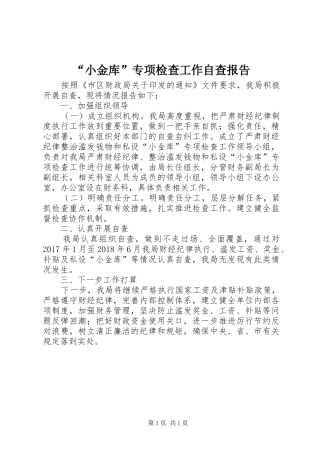 “小金库”专项检查工作自查报告