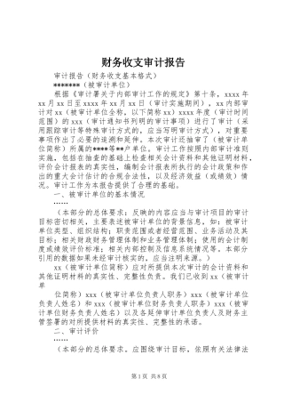 财务收支审计报告