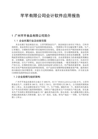 某公司会计软件应用报告