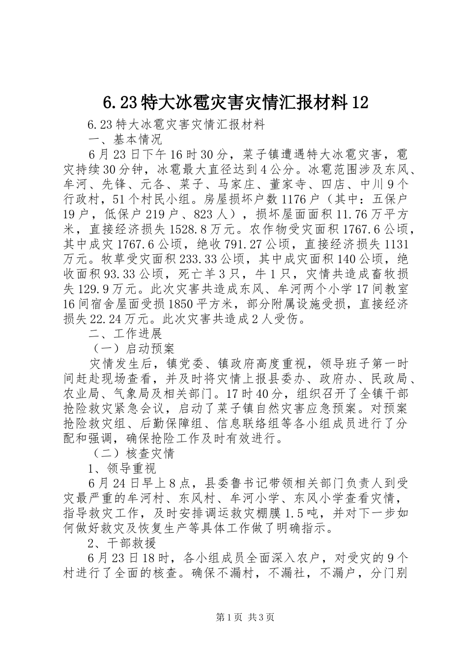 6.23特大冰雹灾害灾情汇报材料12_第1页