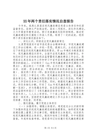 XX年两个责任落实情况自查报告